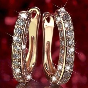 New Elegant Sparkle Cubic Zircon Hoops